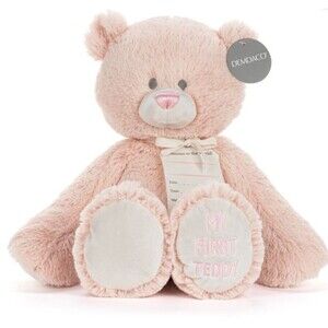 NWT DEMDACO My First Teddy Bear 16" Pink Plush Bear Write on Tag for New Baby